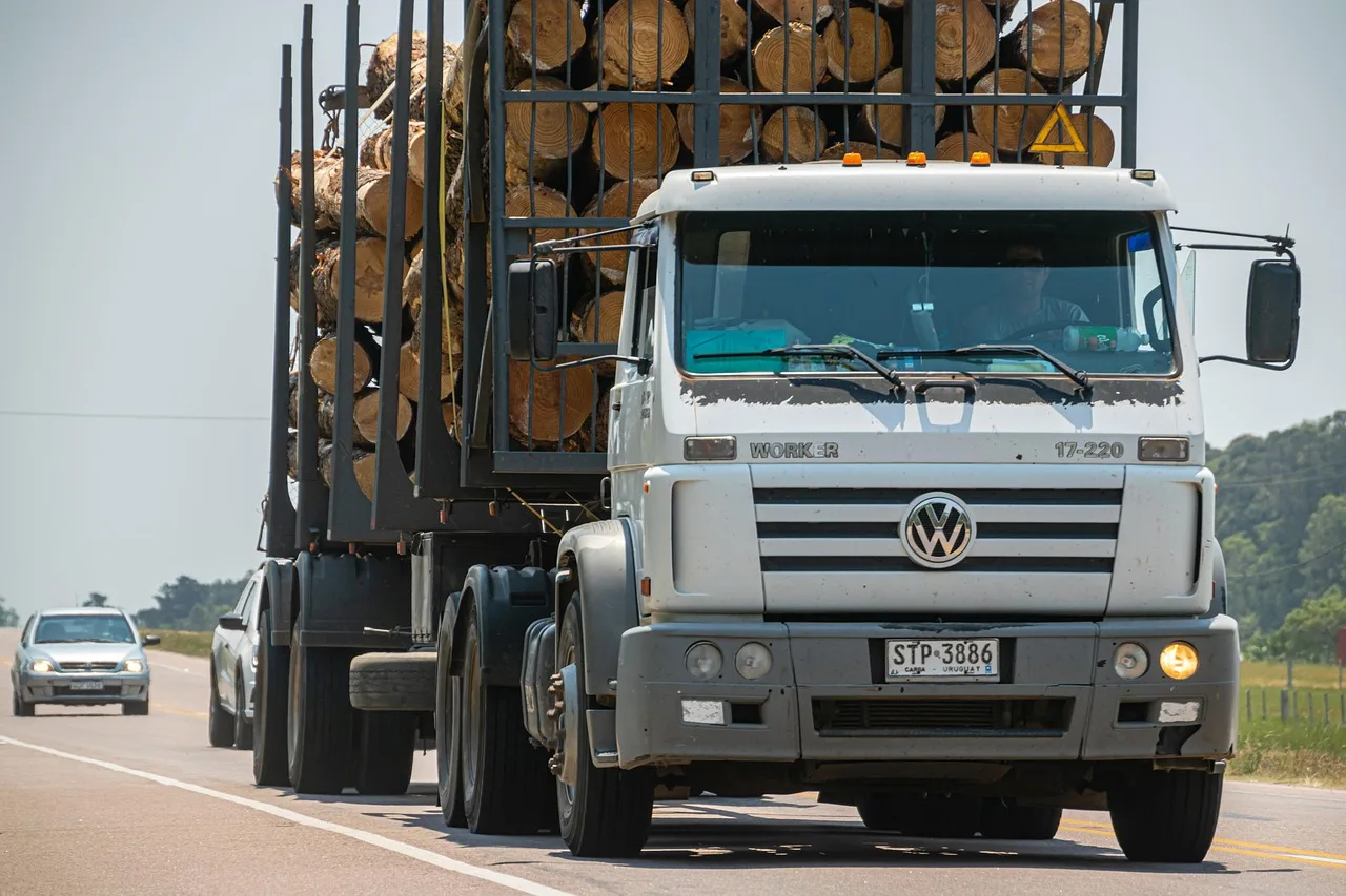 Logging truck with extended mirrors on a clear winter road — proper mirror use is critical when backing a trailer